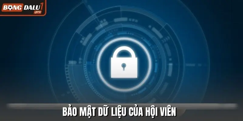Bảo mật dữ liệu của hội viên