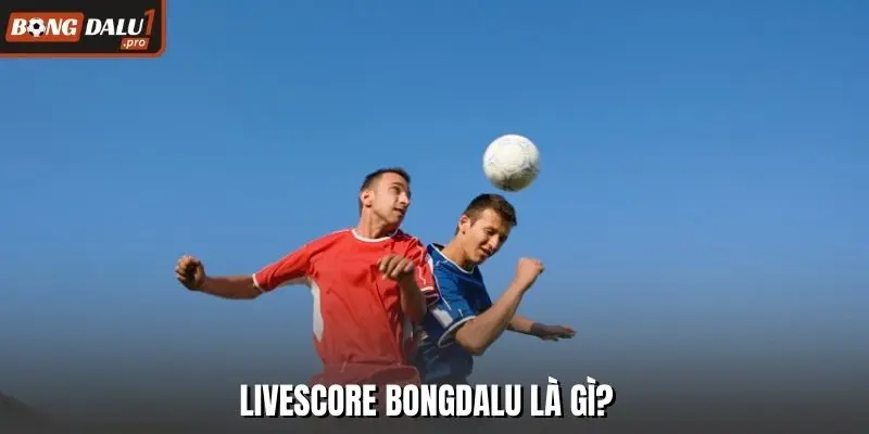 Livescore Bongdalu là gì?